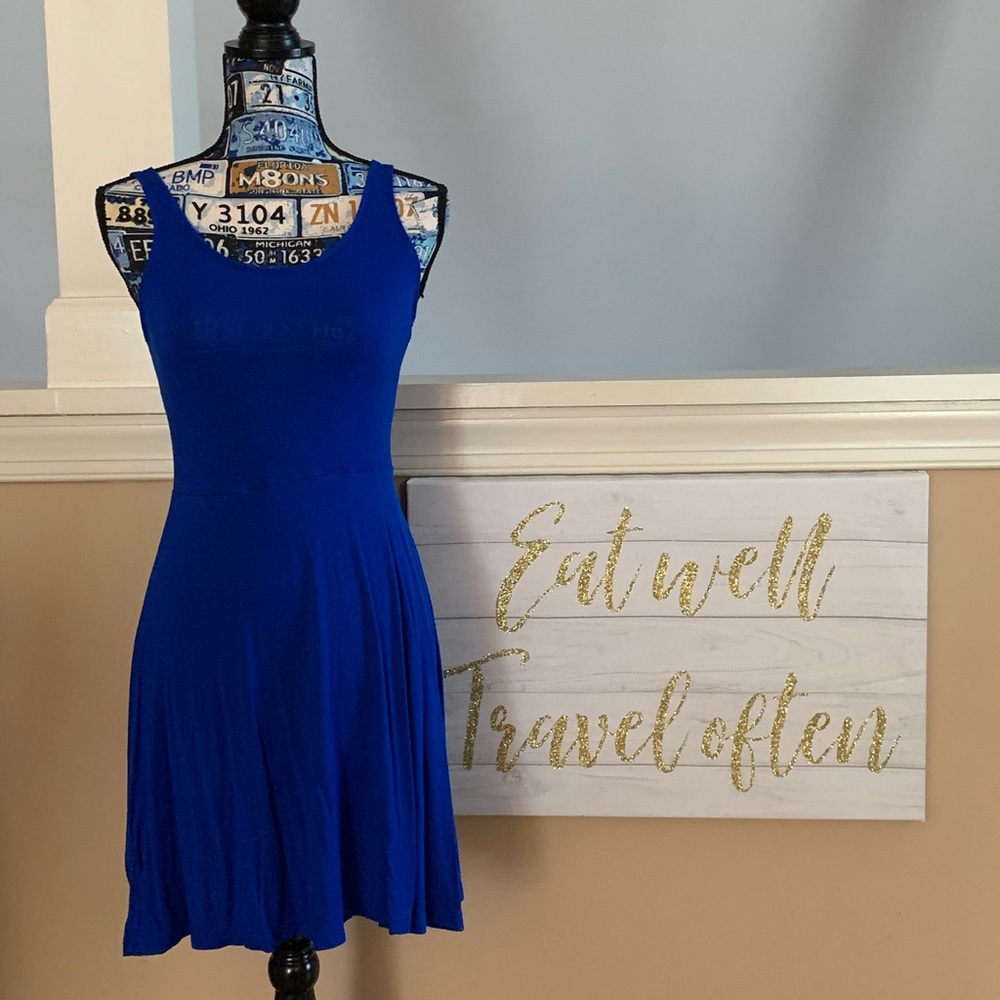 Express Skater Dress